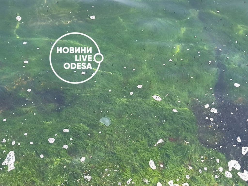 Пляжи, Одеси, Море, забруднення