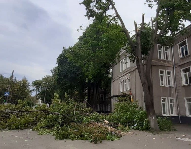 Знак природи: в Одесі вітер повалив величезну гілку клену прямо на вхі