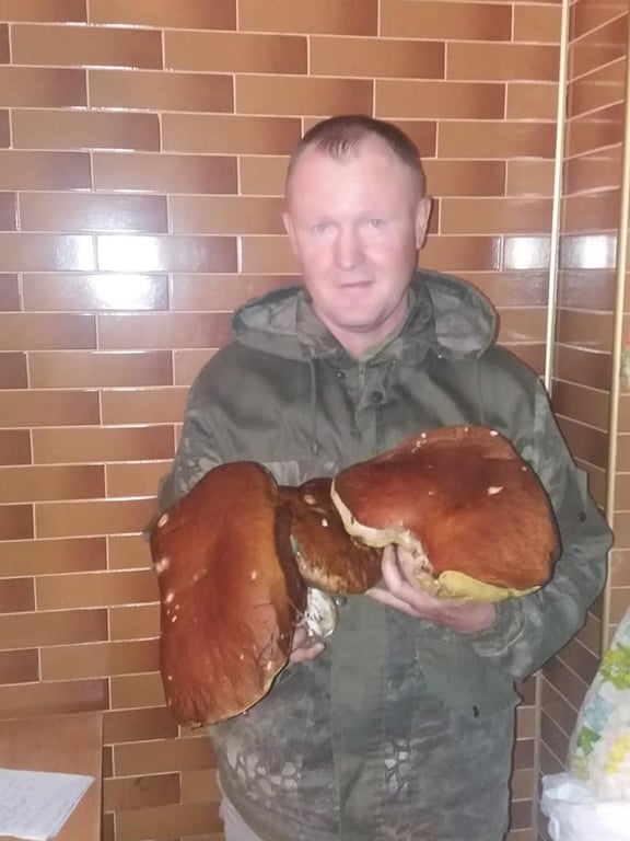 Величезний білий гриб