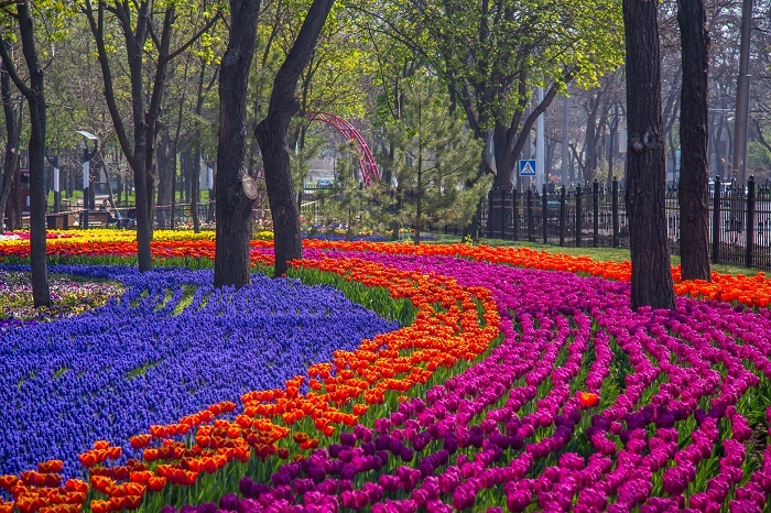 Архітектура Маріуполя