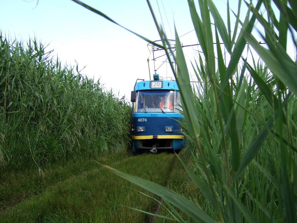 Ціни, Одесса, маршрутки, мерія, грошіц