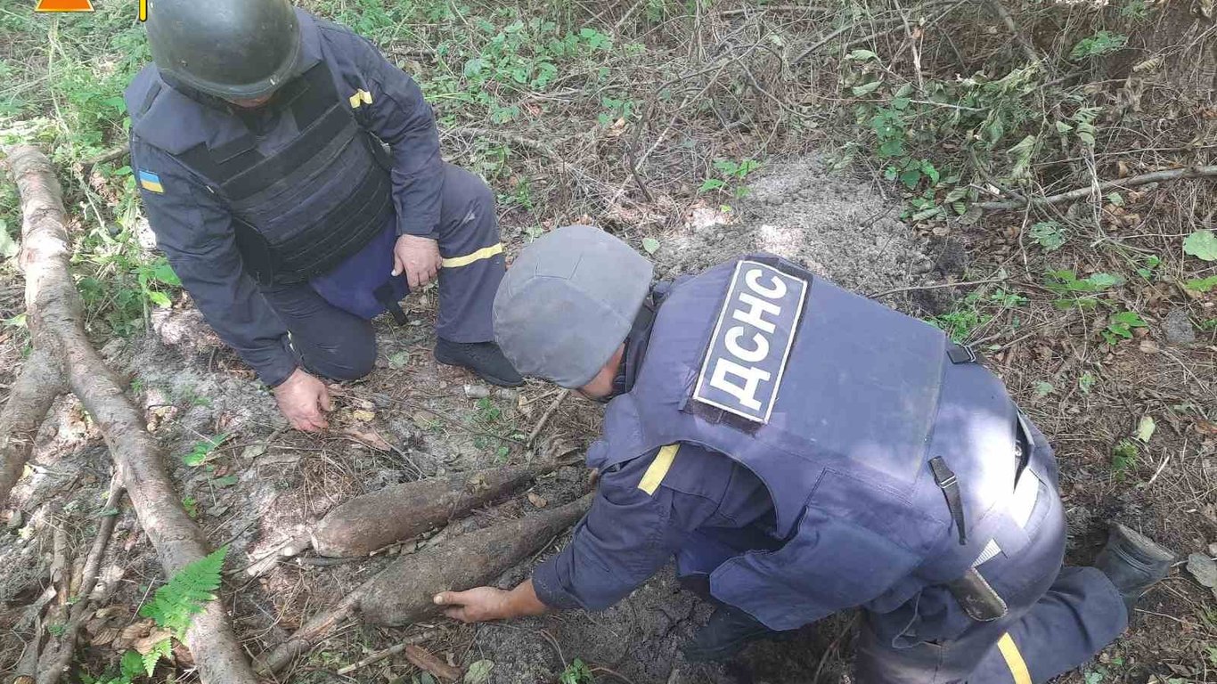 В Харьковской области нашли 30 взрывоопасных предметов - все боеприпасы были подорваны