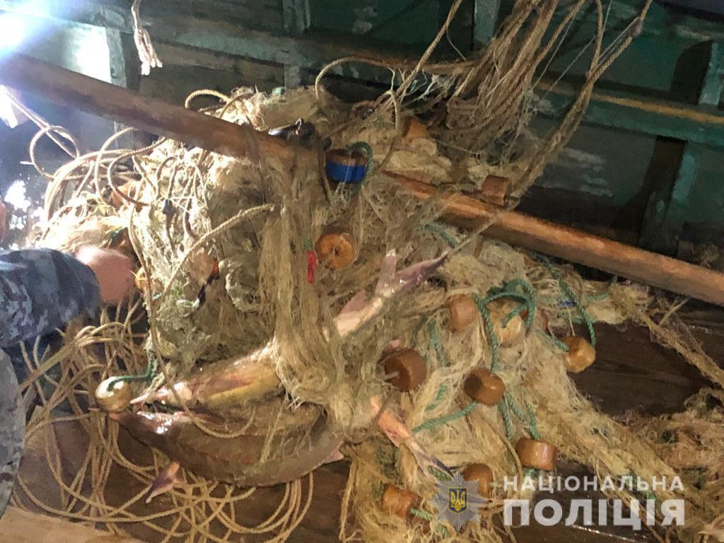 браконьєри
