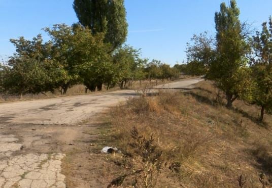 Перекинувся трактор, загинув підліток