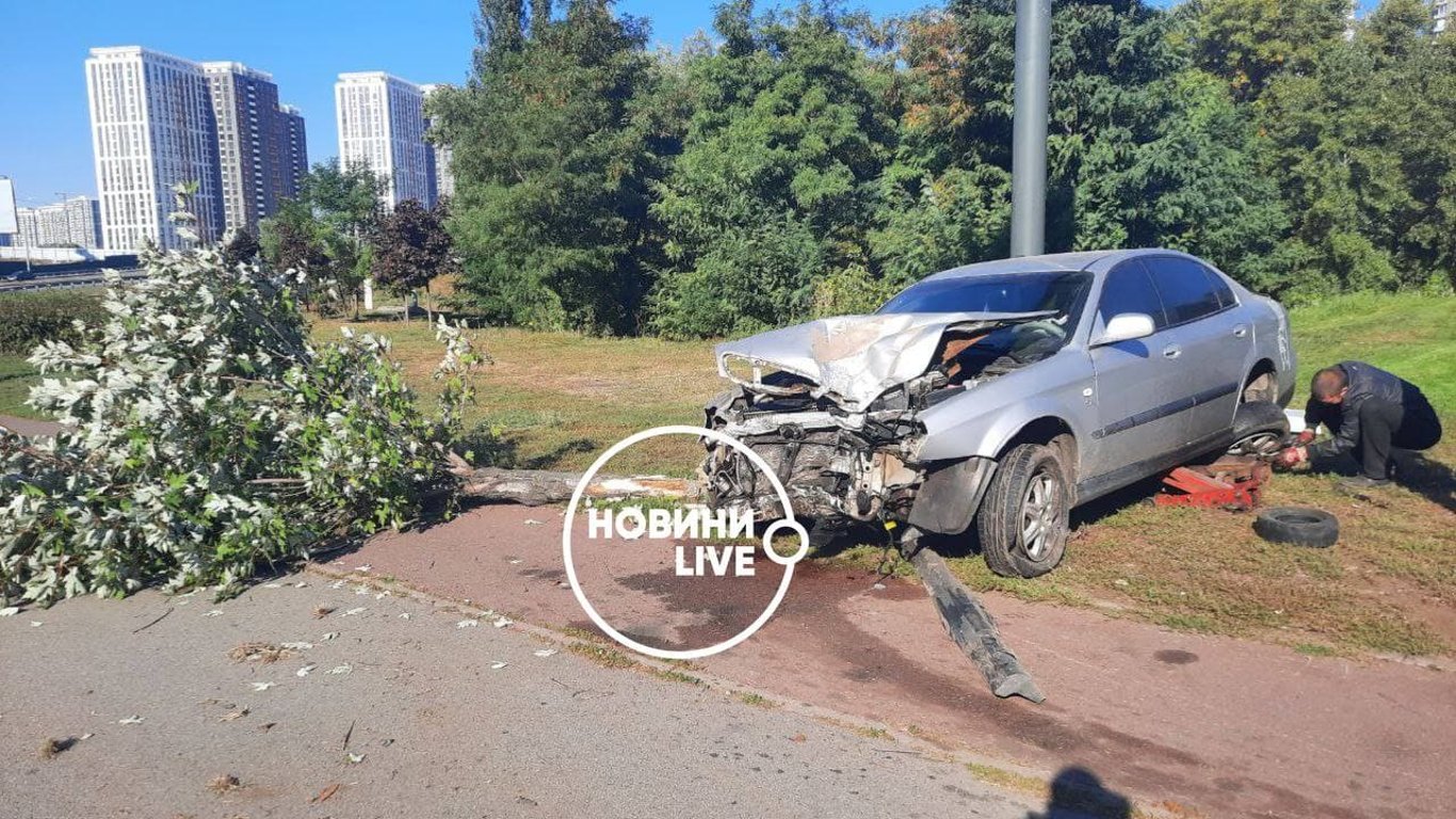 У Києві легковик вилетів на обоччіну і влетіла в дерево: що відомо про ДТП