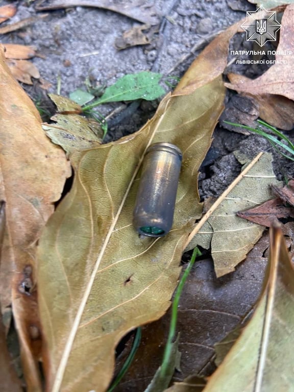 Стрілянина у Львові