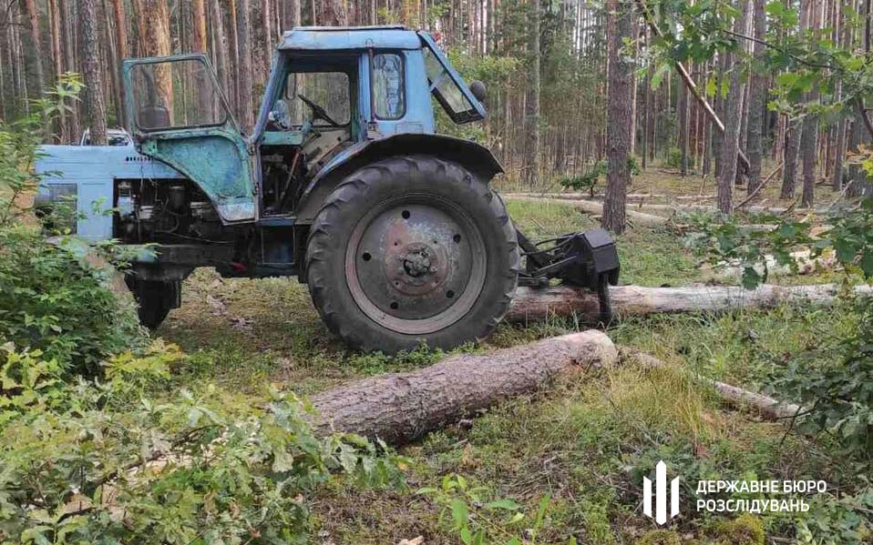 В Одеській області лісничий продав деревину на понад 1 млн грн