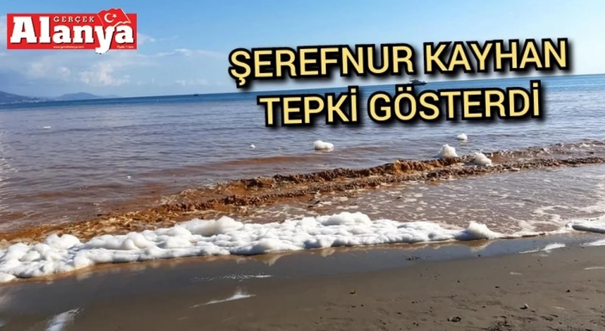Море на пляже в Турции