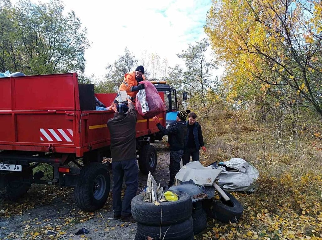 Осенняя толока