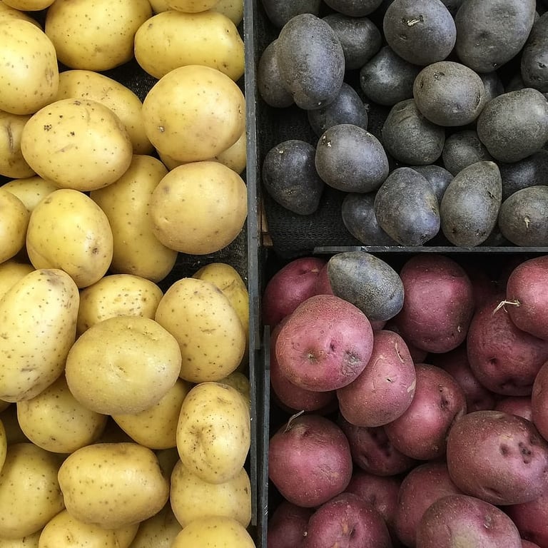 тысячи видов картофеля