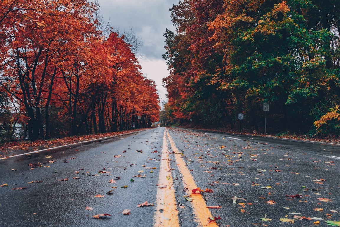 осінь