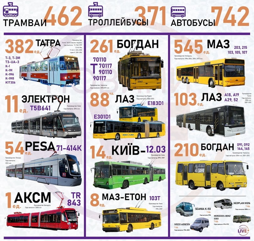 инфографика