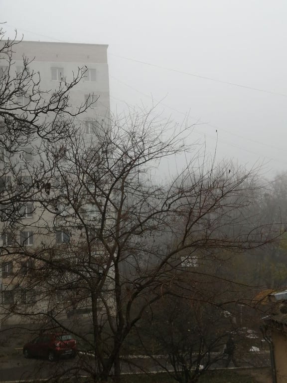 Погода
