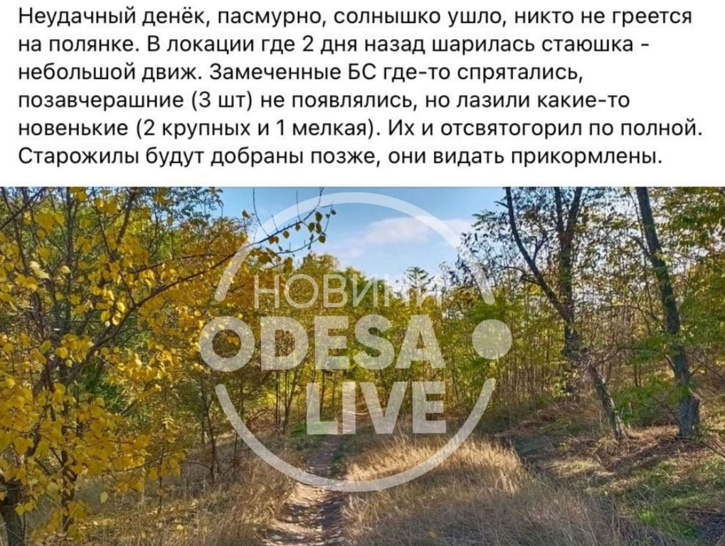 скрін