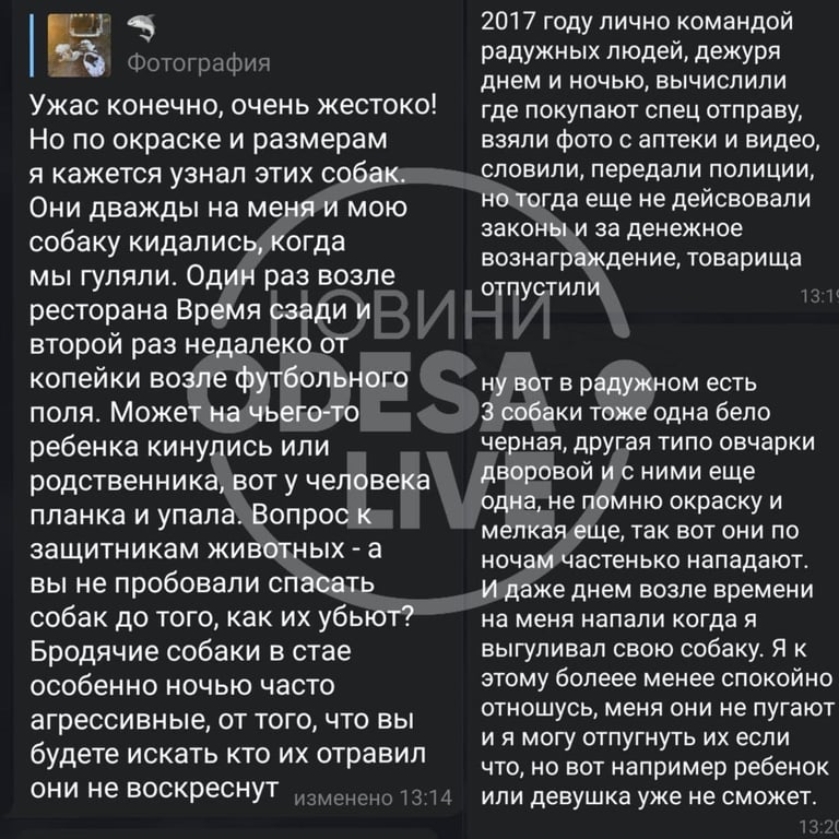скрін