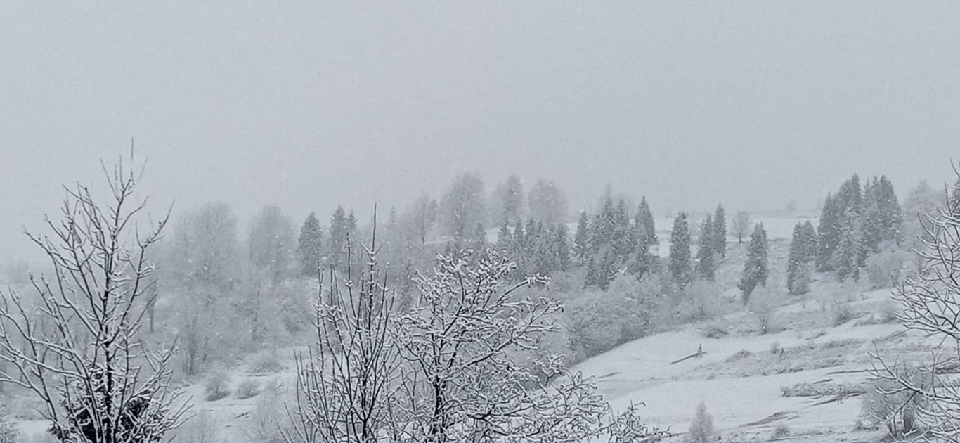 Сніг Карпати