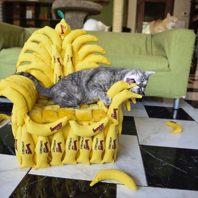 кіт, іграшка, крісло, банан
