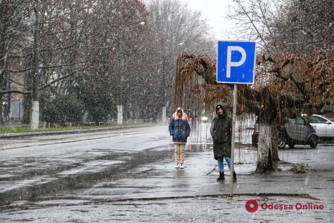 Одеса, сніг, погода, синоптик