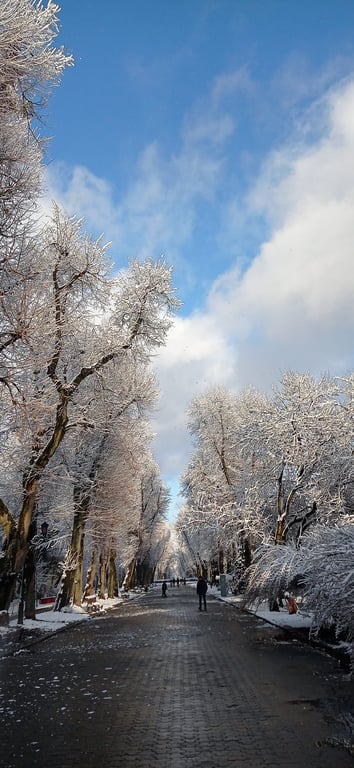 Стрийський парк, Львів