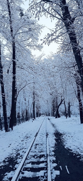 Стрийський парк, Львів