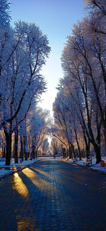 Стрийський парк, Львів