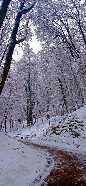 Стрийський парк, Львів