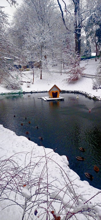 Стрийський парк, Львів