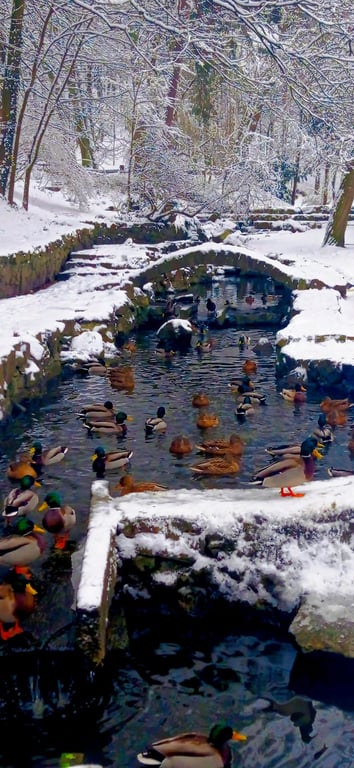 Стрийський парк, Львів