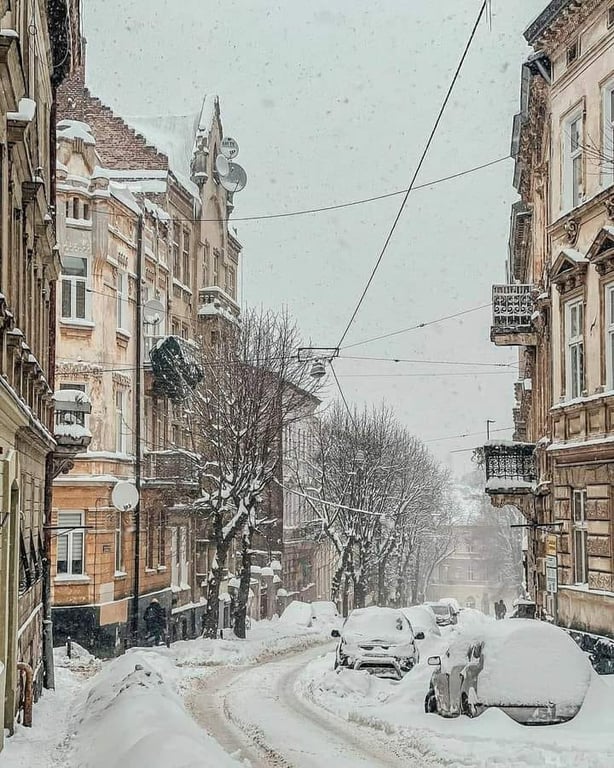 У Львові випав сніг