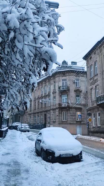 Во Львове выпал снег