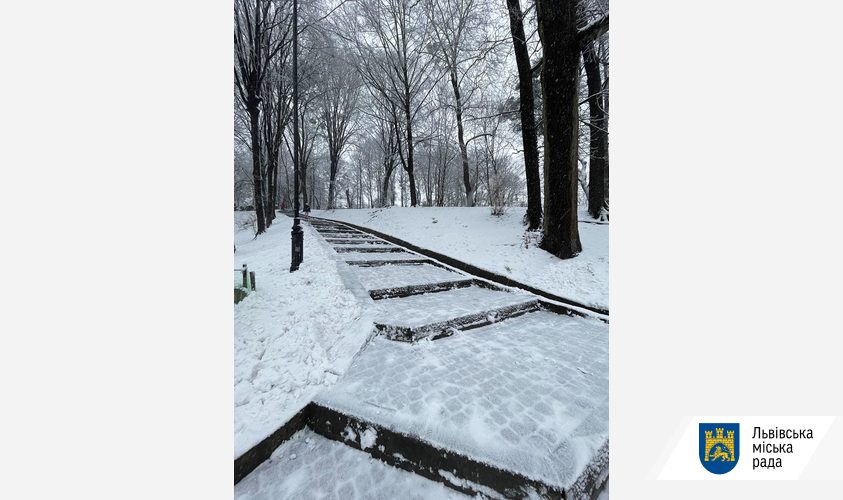 Мокрий снег во Львове