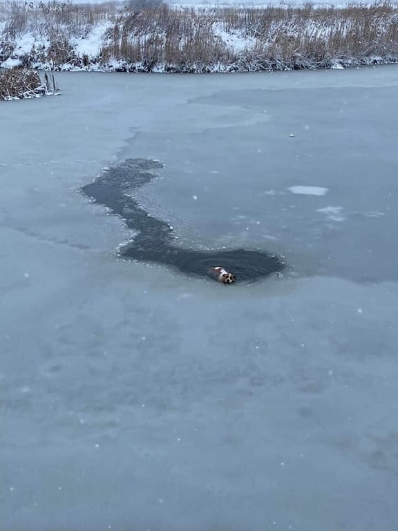 порятунок