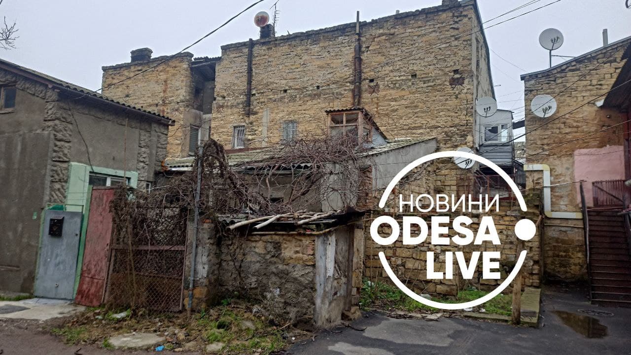 Бездомні, Одеса, тварини, Болгарська вулиця