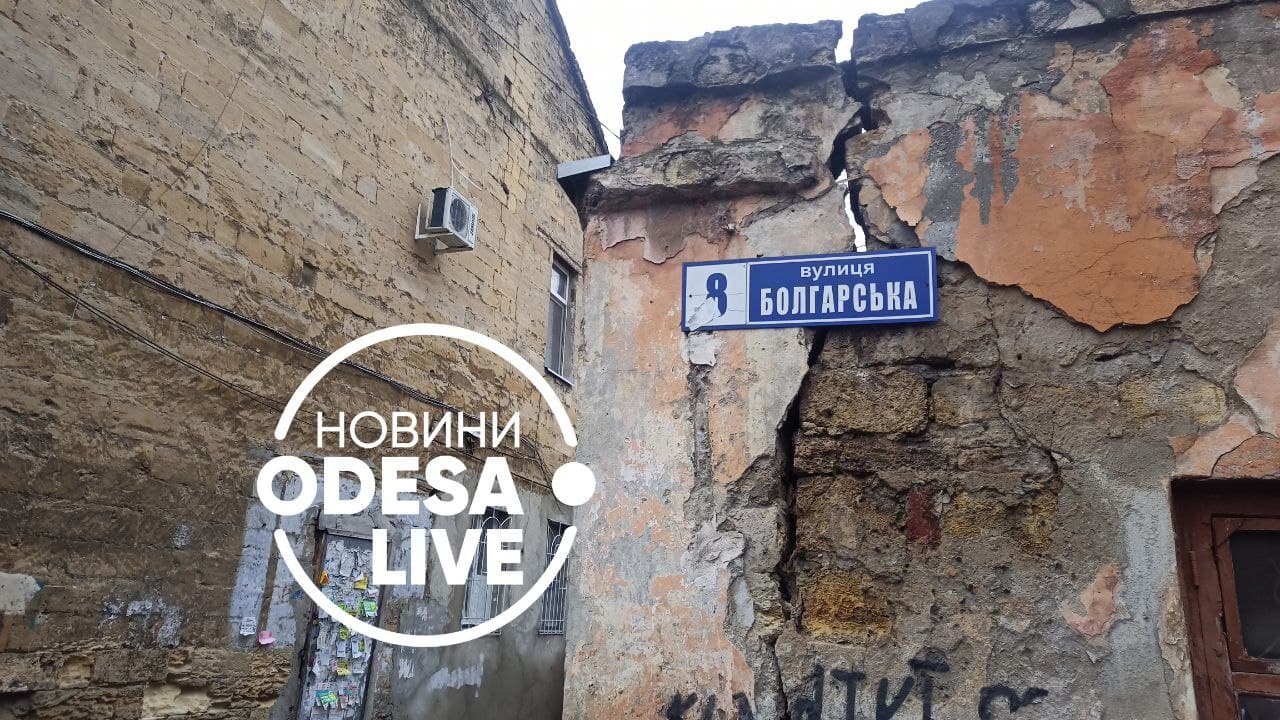 Бездомні, Одеса, тварини, Болгарська вулиця