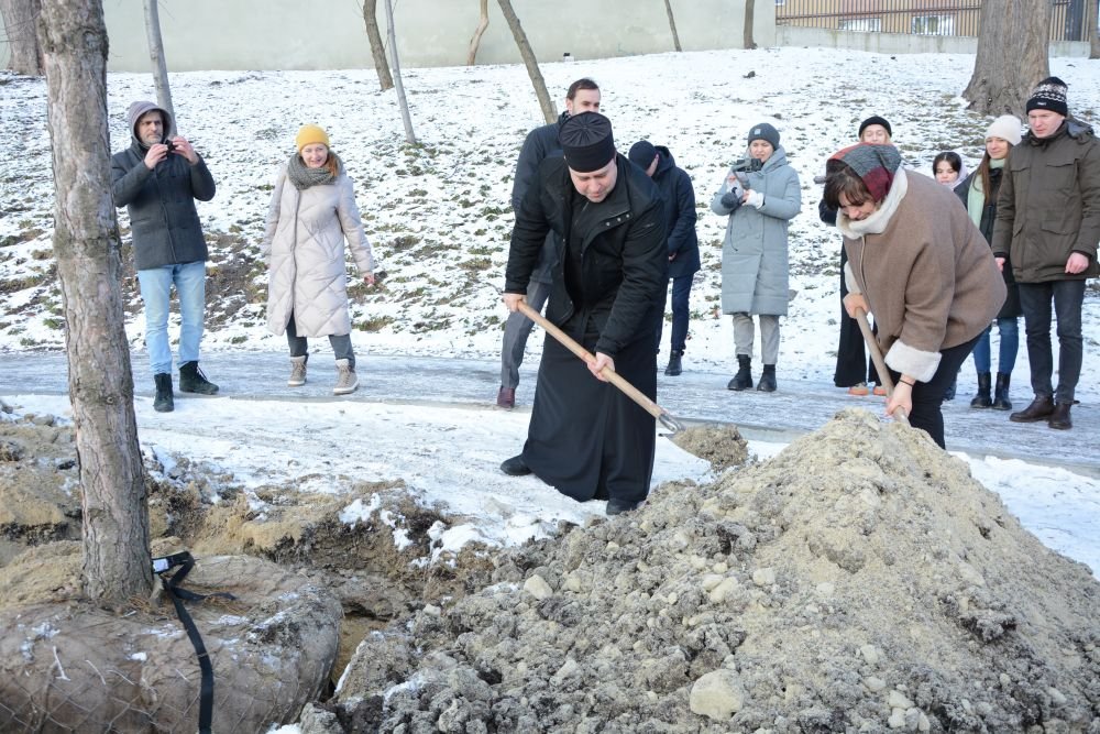 У Львові висадили дерева