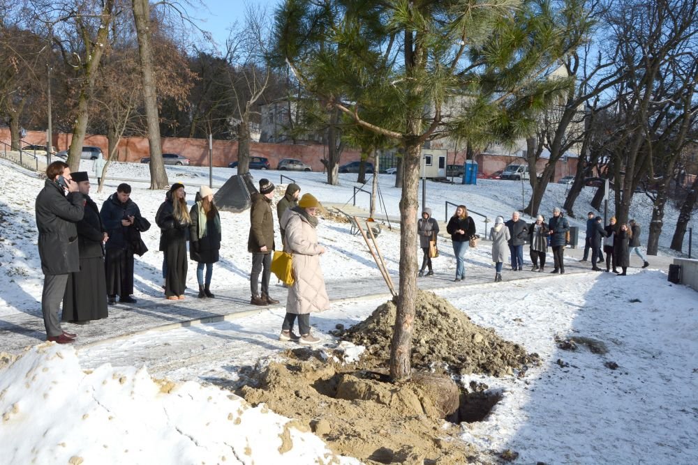 У Львові висадили дерева
