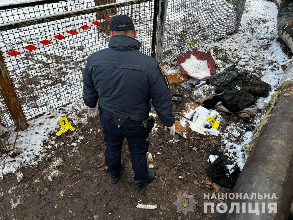 У Дніпрі вбили двох безхатченків - що відомо