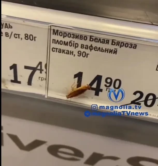 Таракан