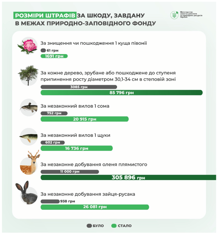 Штраф