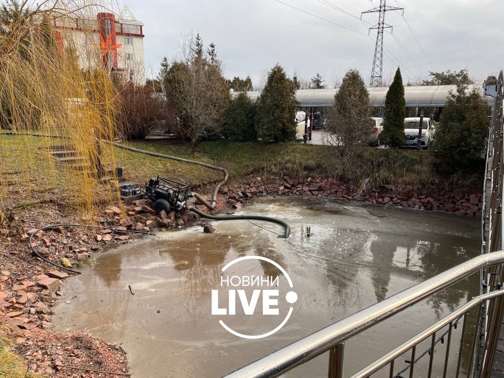 Пожежа у Вишгороді 3 січня