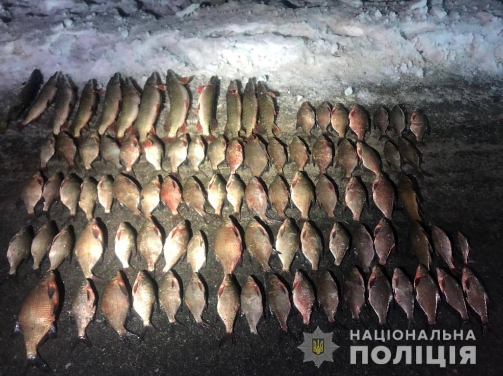В Харьковской области браконьеры наловили рыбы почти на 1,5 млн гривен