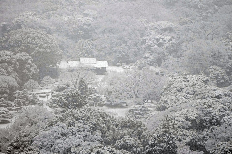 Снігопад у Токіо
