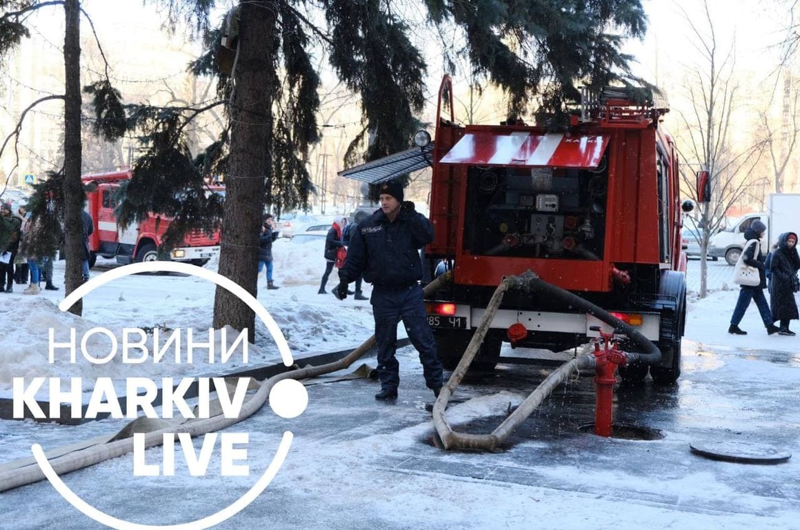 университет