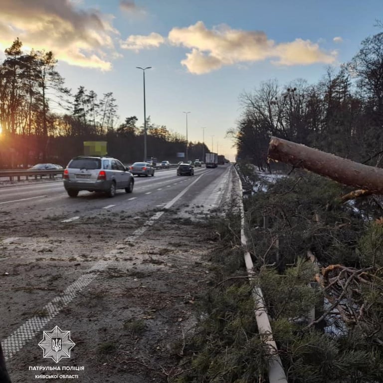 Дерево упало на дорогу