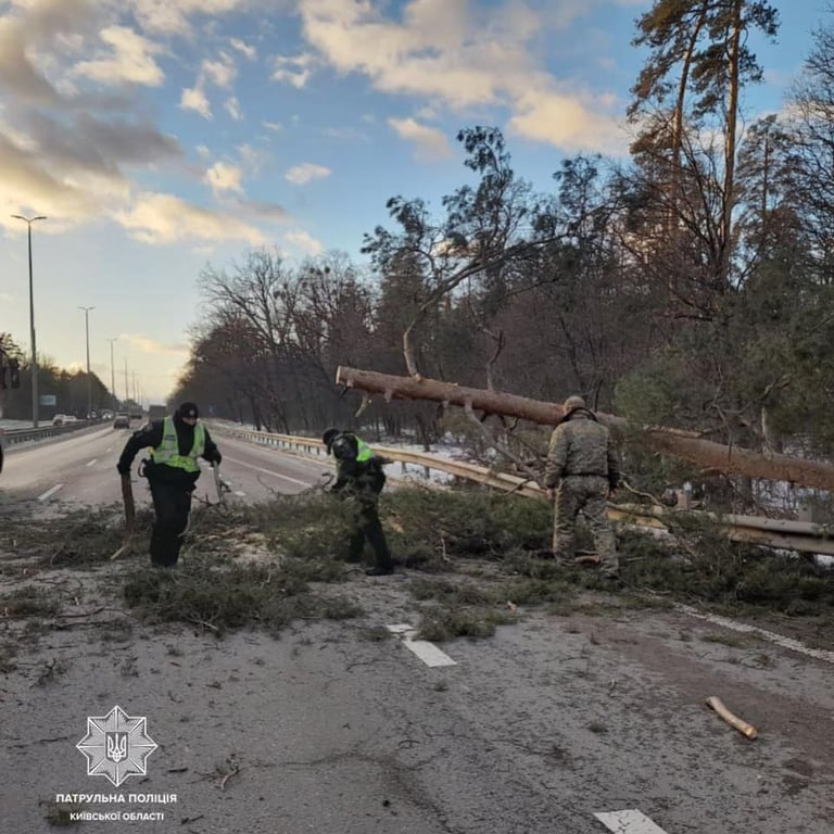 Дерево упало на дорогу