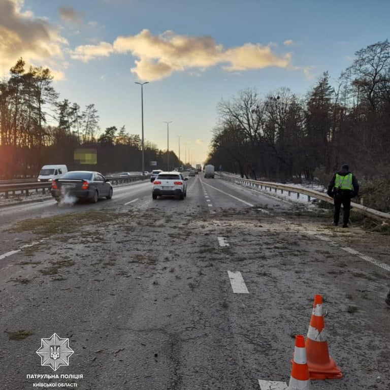 Дерево упало на дорогу