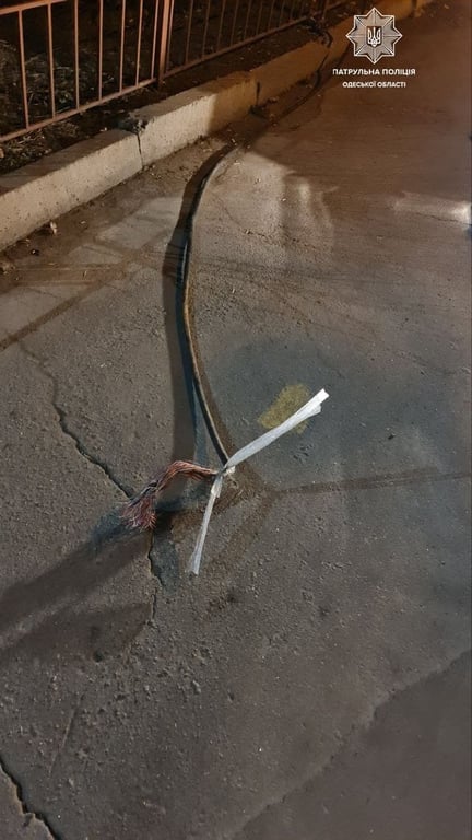 Одесса, патрульные, воры