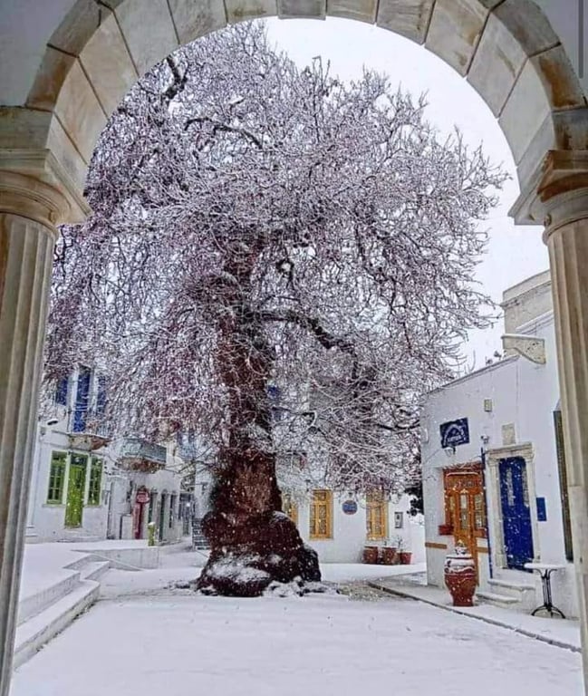 Грецію замело снігом