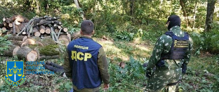 ліс