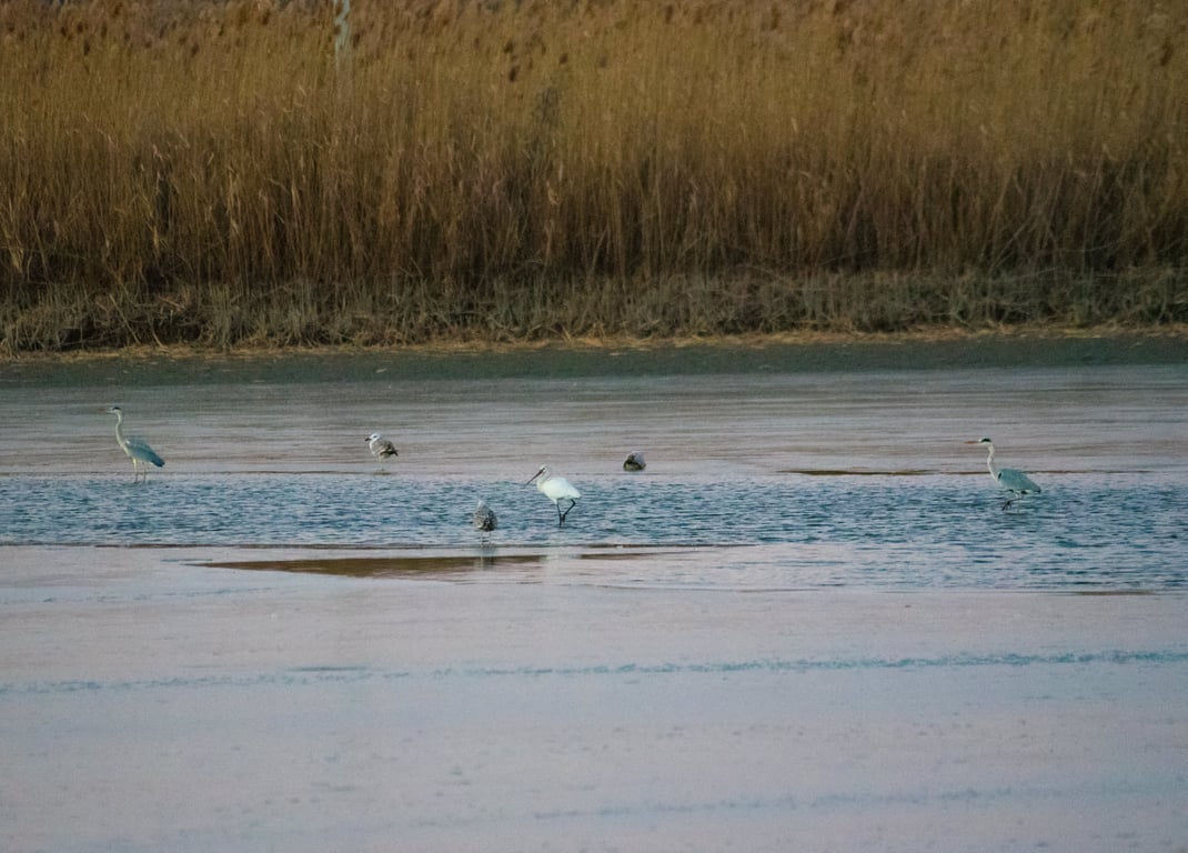 Одеса